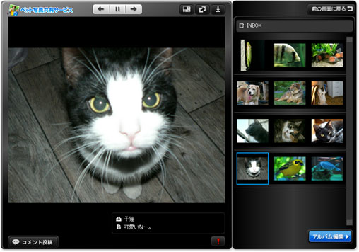 「ペット写真共有サービス」ウェブアルバム
