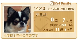 PetSmile ～年齢時計～