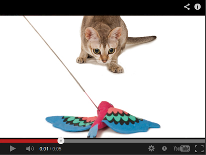 猫用おもちゃ「CAT TRICKY　ワイヤーじゃらし　バード」で遊んでいる動画