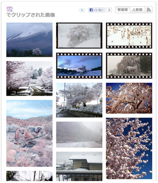 2013年4月　「ついっぷるアルバム」で クリップされた「桜と雪」の画像