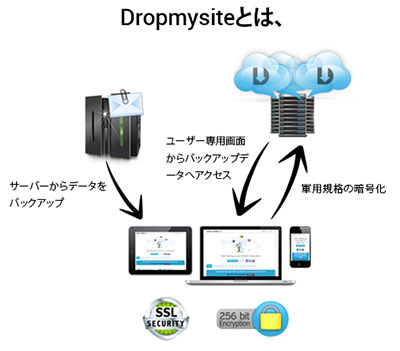 Dropmysiteとは