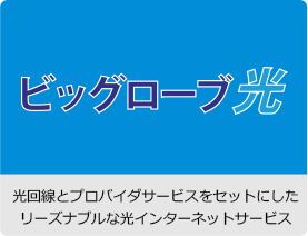 ビッグローブ光